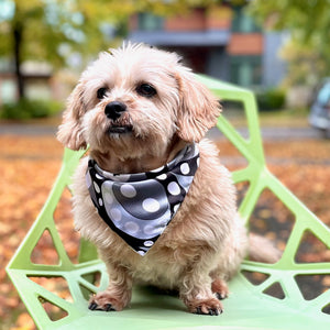 Bandana for Dogs & Their Owners